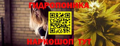 трава Обь