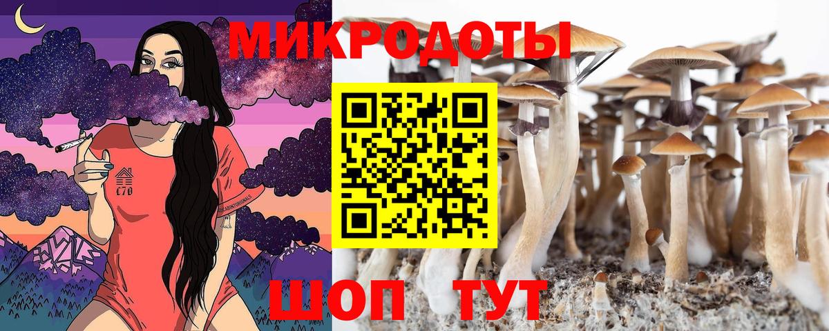 Галлюциногенные грибы Psilocybe  Вход с VPN  Новотроицк 